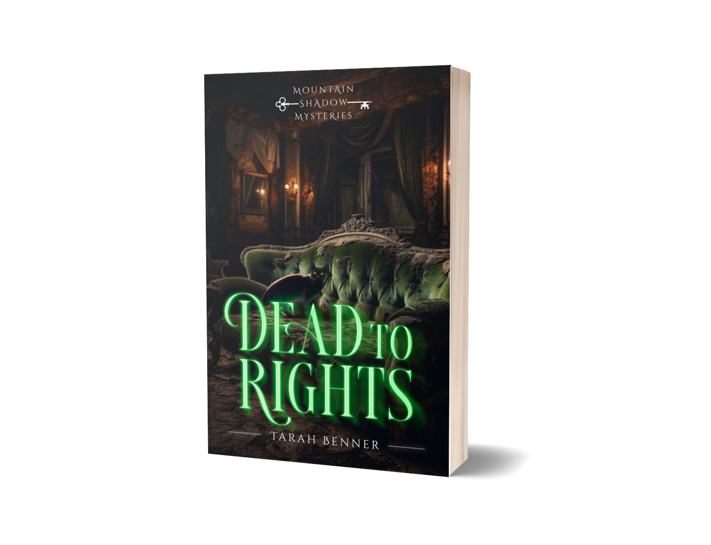 Dead to Rights: Mountain Shadow Mysteries Book 2 (Paperback Edition)