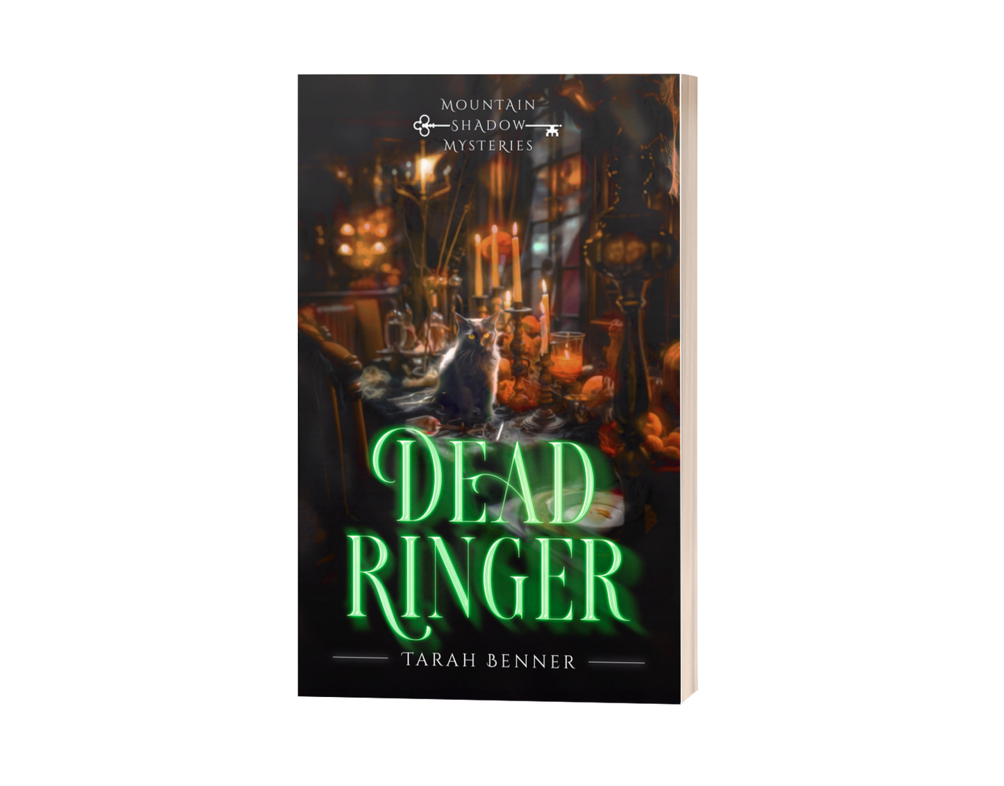 Dead Ringer: Mountain Shadow Mysteries 3 (Paperback Edition)