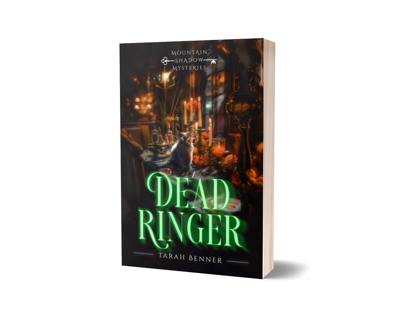 Dead Ringer: Mountain Shadow Mysteries 3 (Paperback Edition)