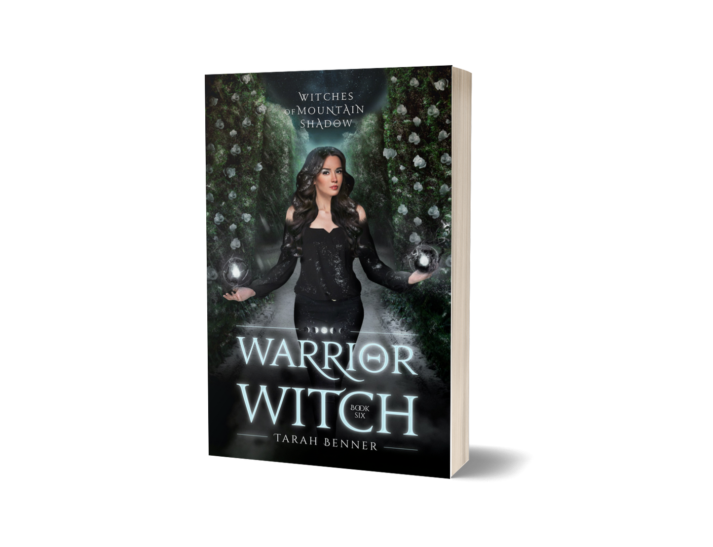 Warrior Witch: Witches of Mountain Shadow Book Six (Paperback Edition)