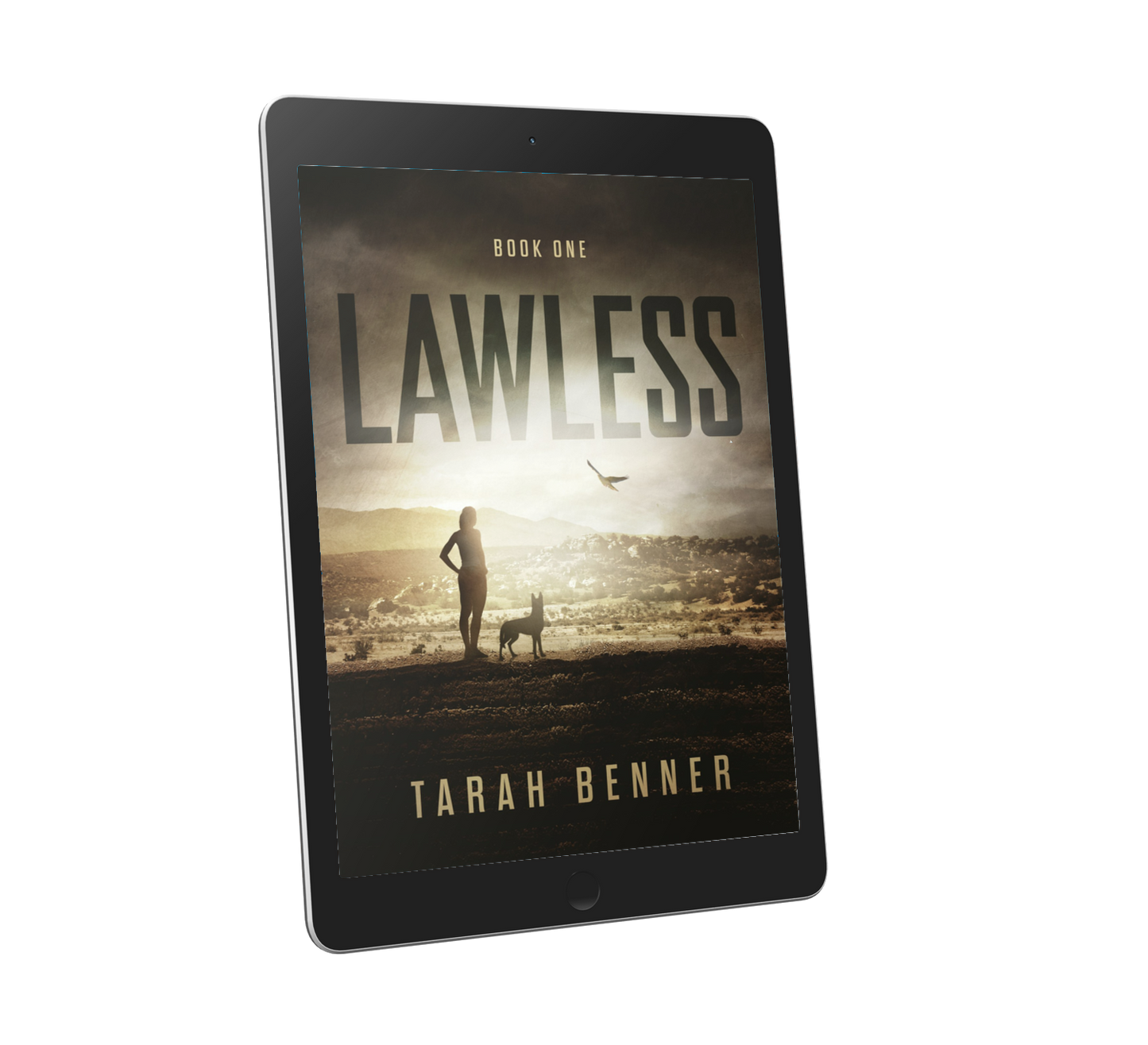 Lawless: Book One of The Lawless Saga (Digital Edition)